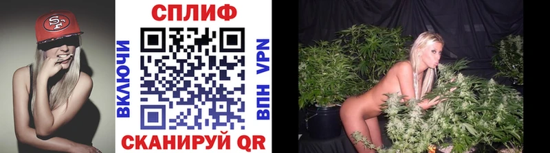 Магазины продажи наркотиков Приозерск Alpha PVP  Гашиш 
