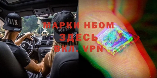 индика Алзамай